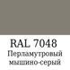 Набор Максимальный (RAL 7048) для покраски элементов автосалона из кожи, кожзама и пластика, зі шпаклівкою (20 г), 30 мл, нормальный глянец