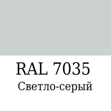 Набор Максимальный (RAL 7035) для покраски элементов автосалона из кожи, кожзама и пластика